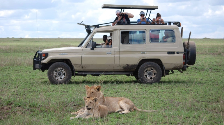 Tanzania Safari Cost