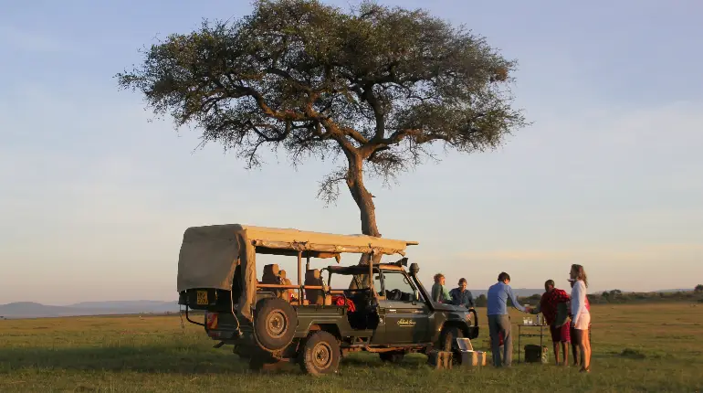 Tanzania Safari Faqs