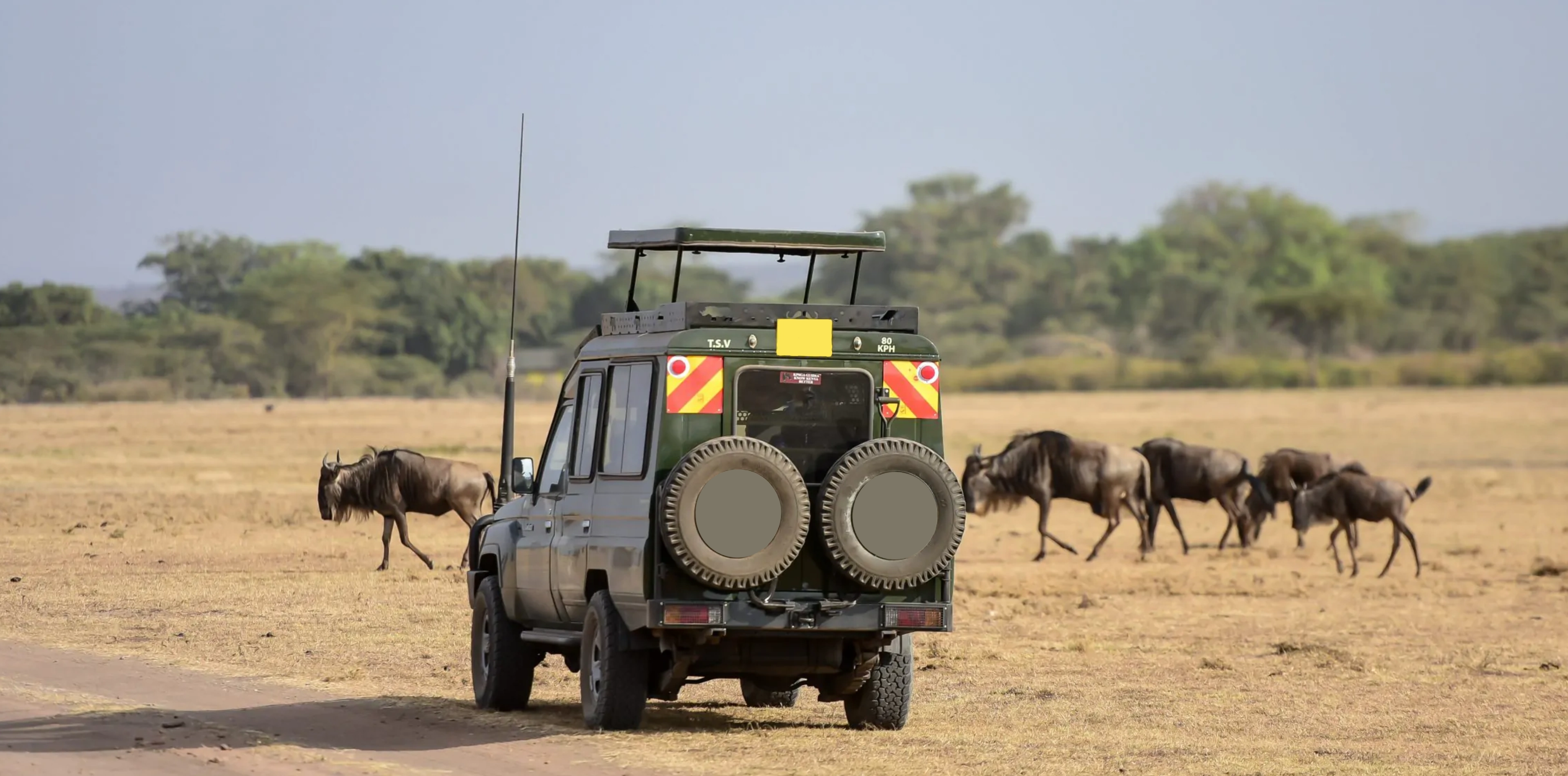 Tanzania Travel Insurance