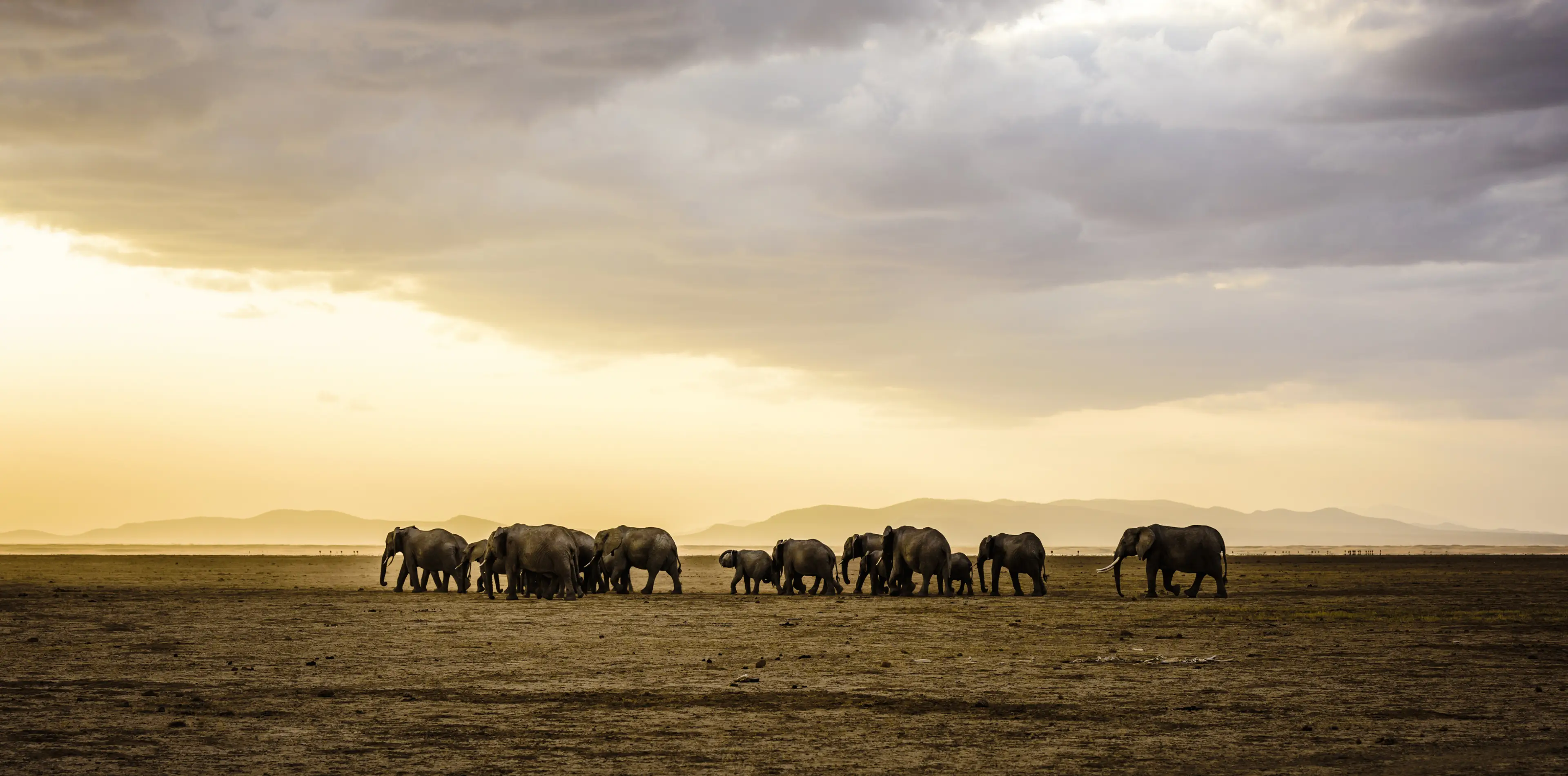 Tarangire National Park Attractions
