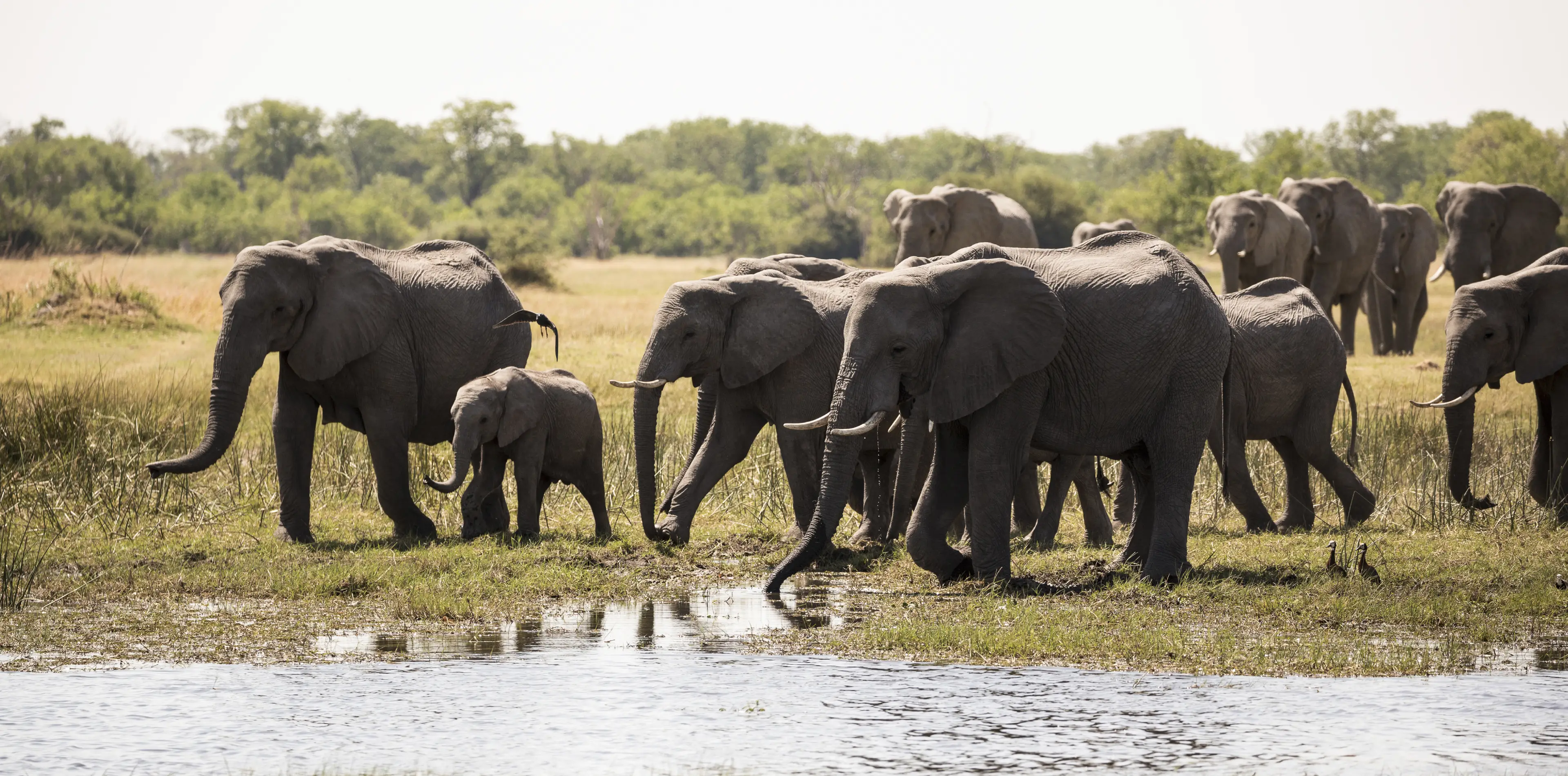 Tarangire National Park Attractions