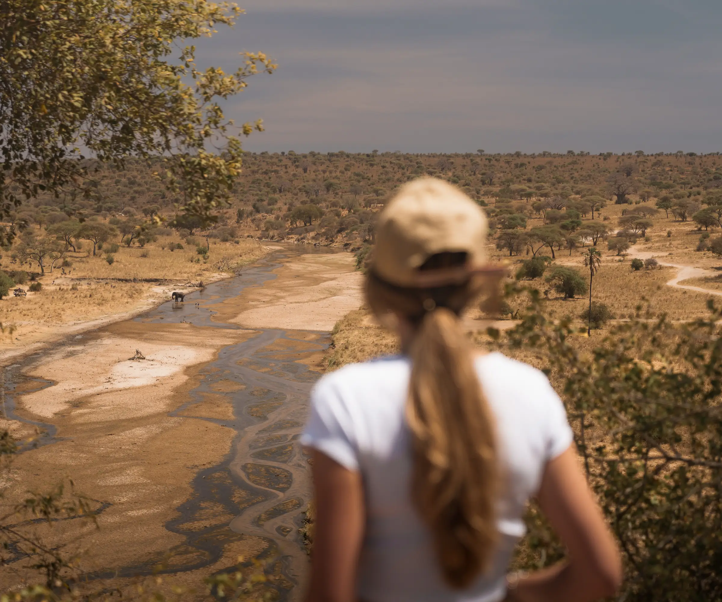 Tarangire National Park Our Impact