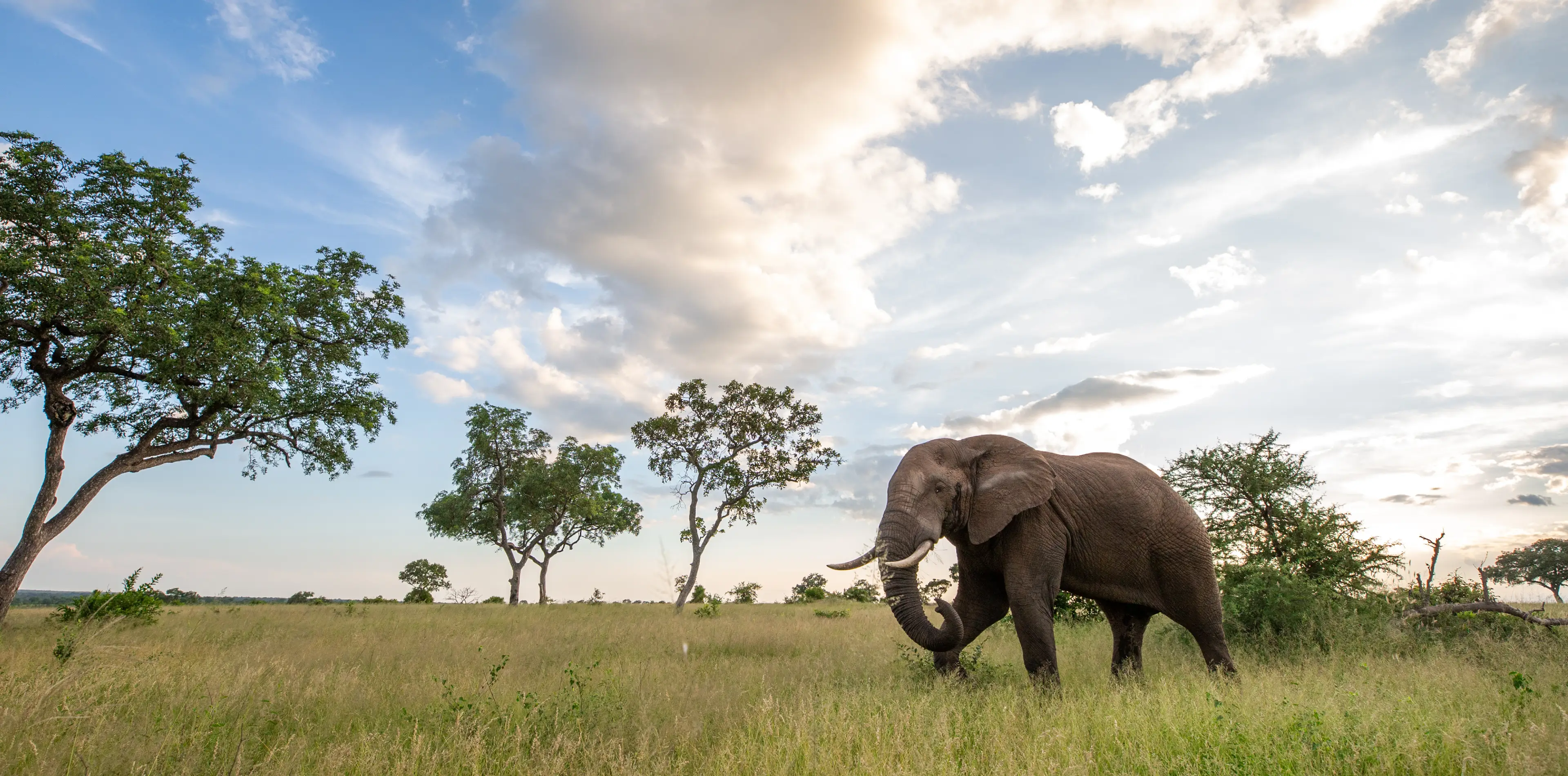 Tarangire National Park