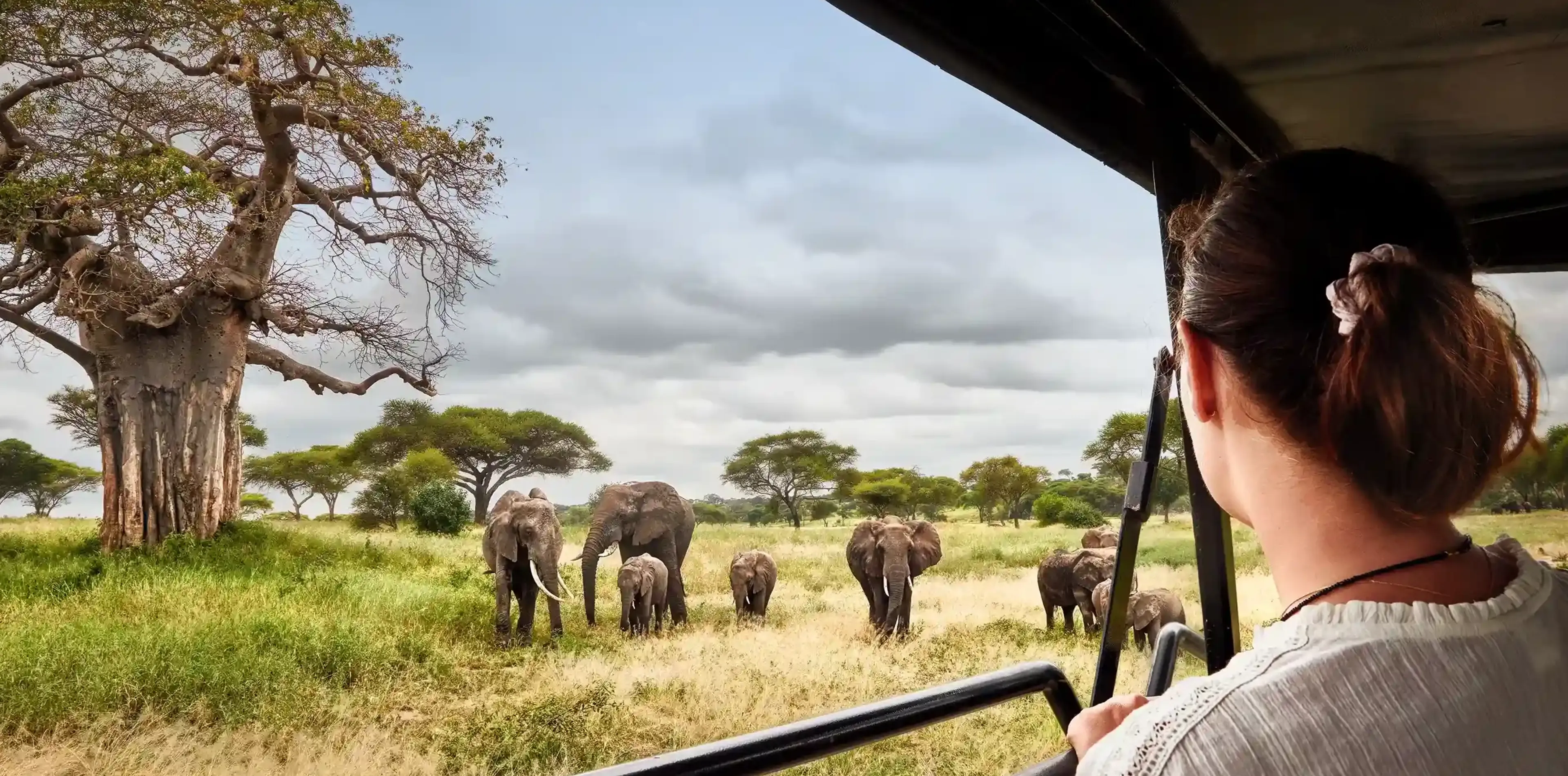 Tipping  In Tanzania