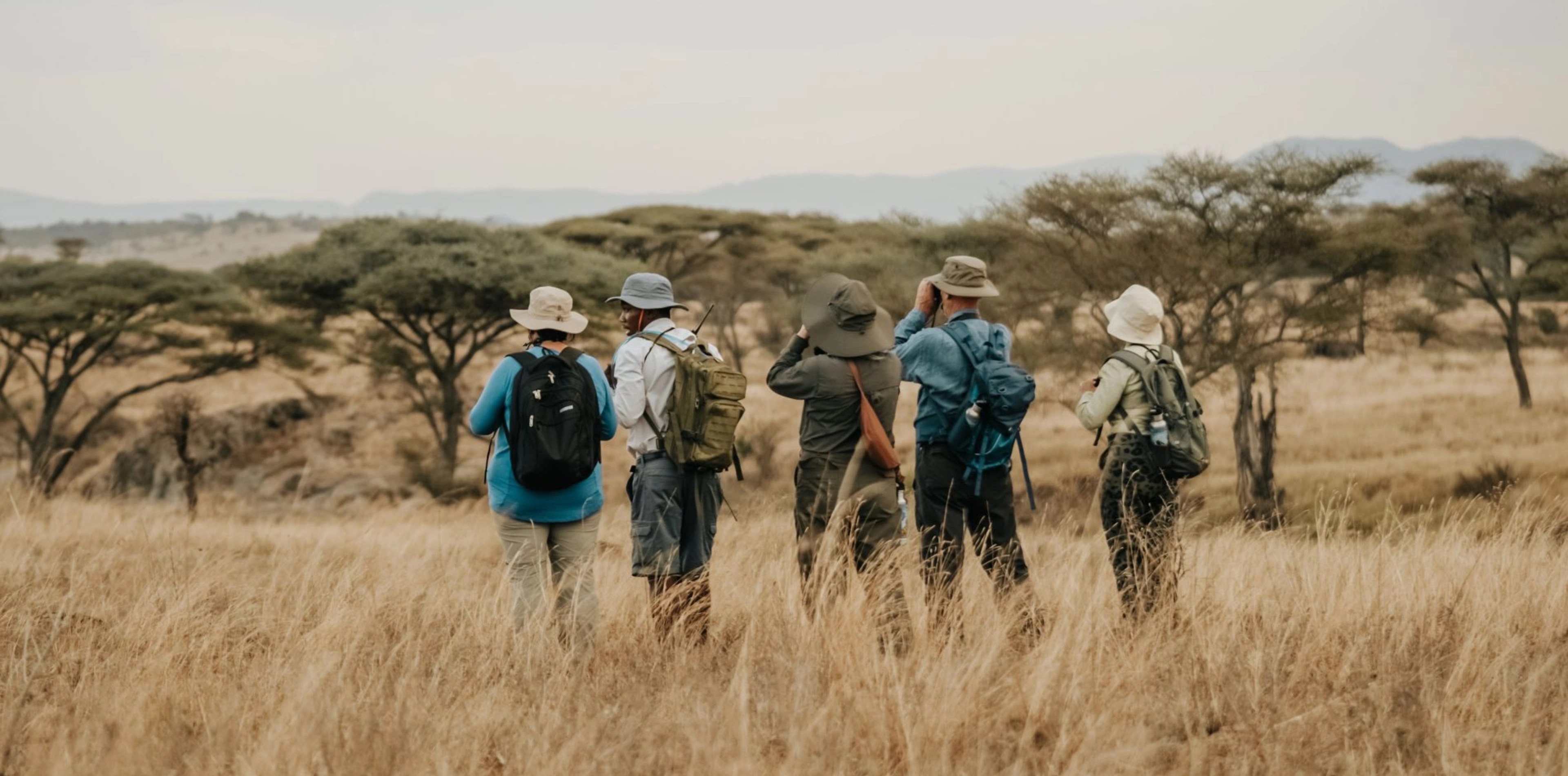 Walking Safari