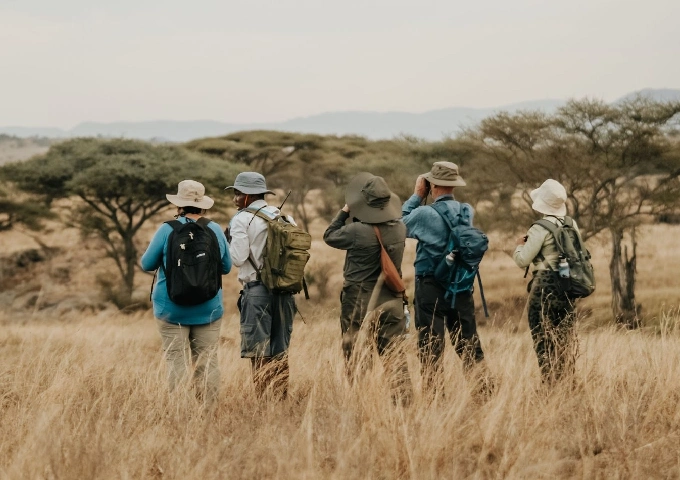 Walking Safari