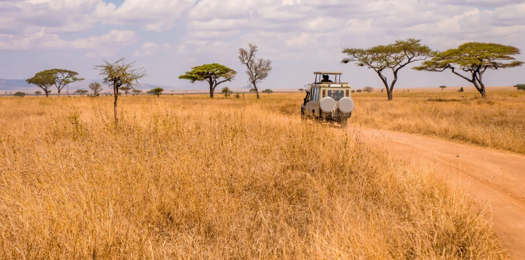 Adventure Safari Activities