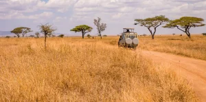Adventure Safari Activities