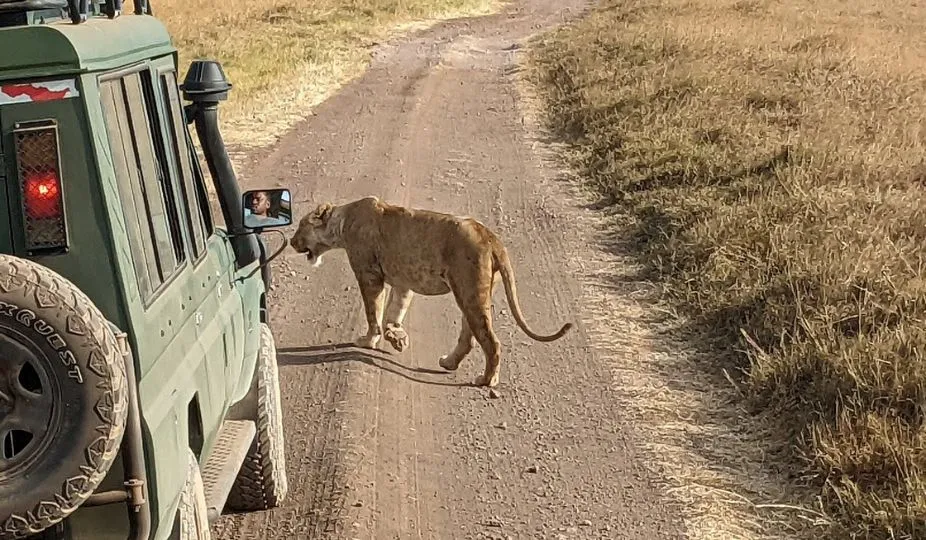 best time to visit tanzania