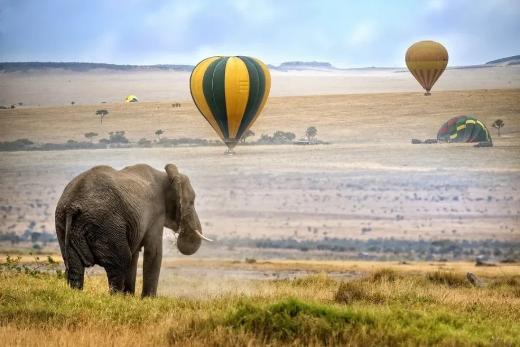 hot air balloon safari