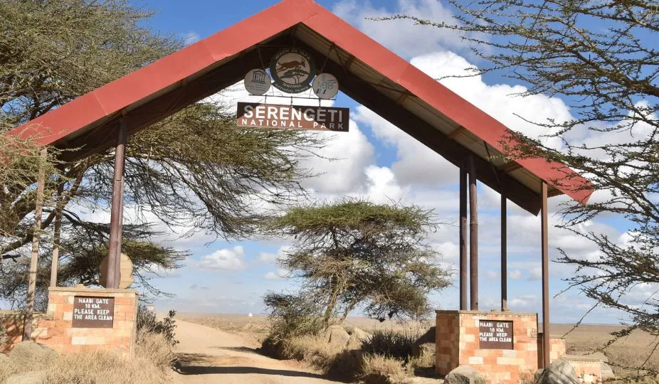 iconic serengeti national park
