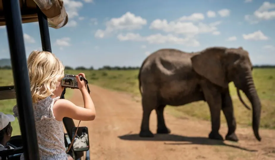 tanzania safari experience
