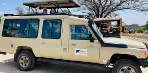 Tanzania Safari Cost & Itinerary — Everything Planned for You in 2026
