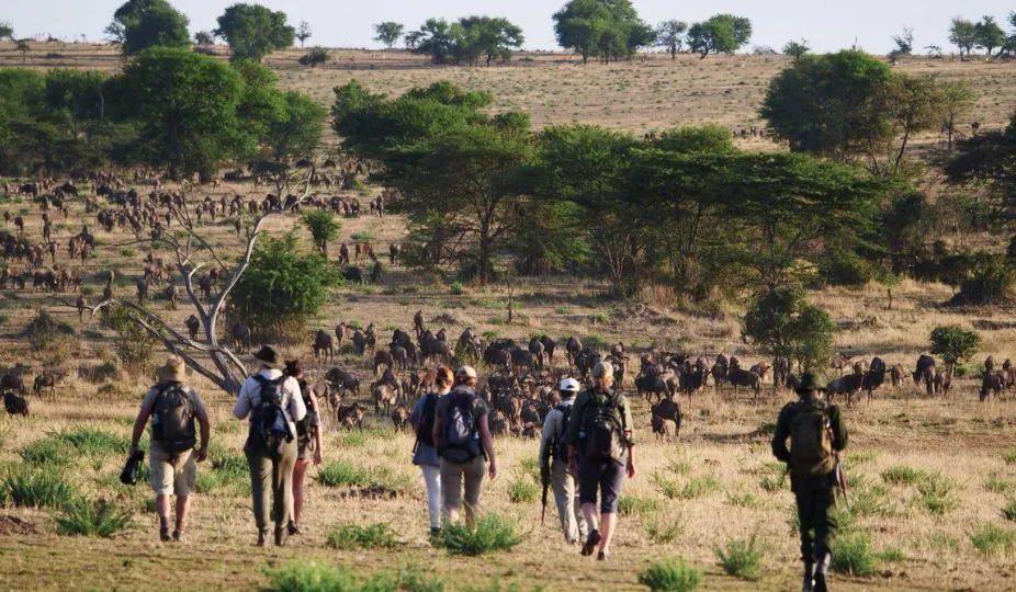 Best time to visit Tanzania