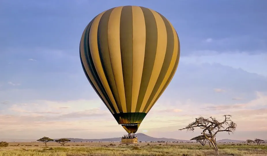 Hot Air Balloon Safari