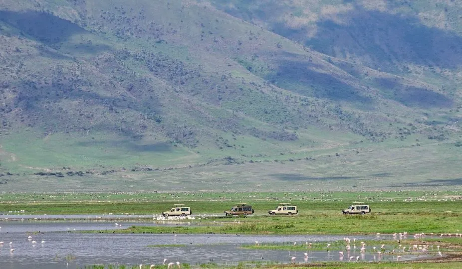 Tanzania National Parks