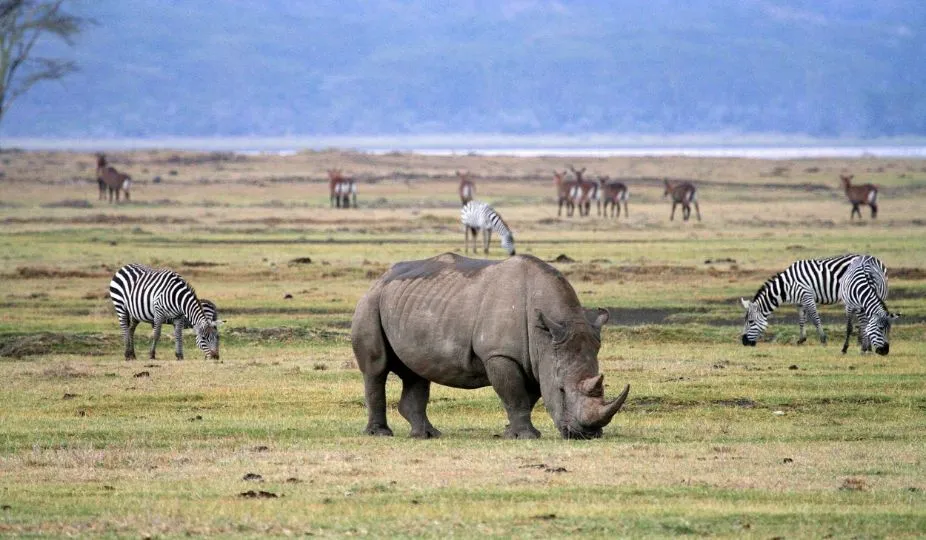 Tanzania National Parks