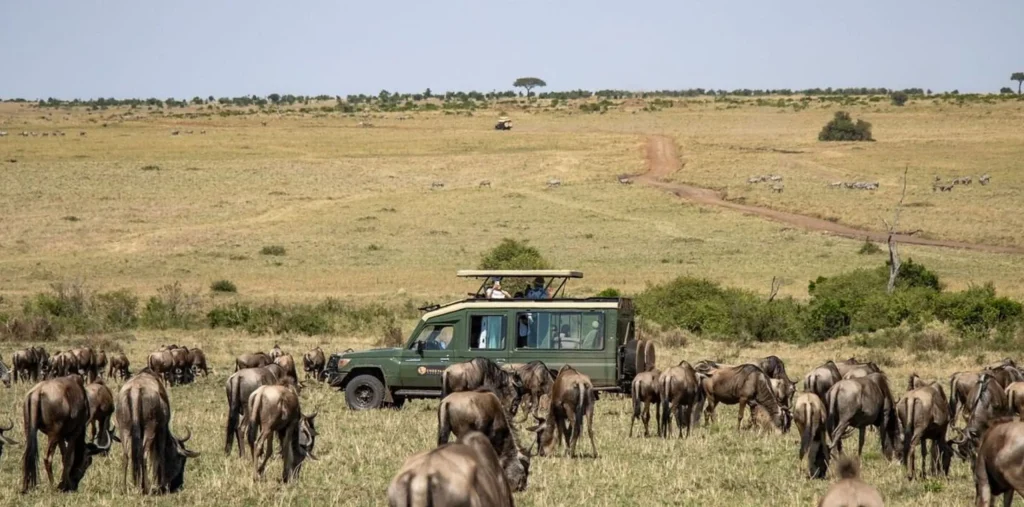 Tanzania Safari Cost 2026/2027 – What Does a Real Safari Cost?