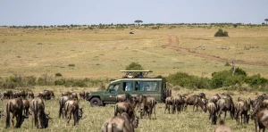 Tanzania Safari Cost 2026/2027 – What Does a Real Safari Cost?