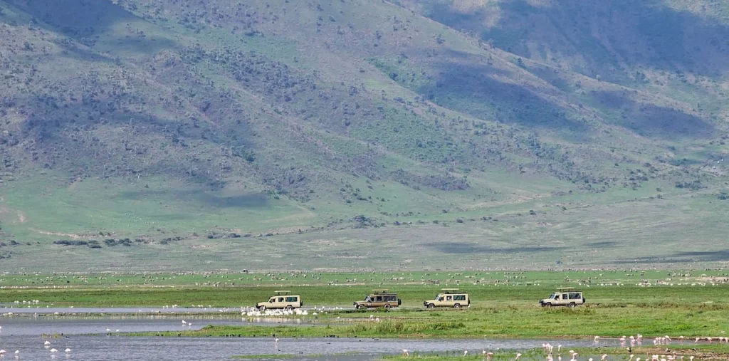 Where to Go in Tanzania to Experience the Best Tanzania Safari Tours?