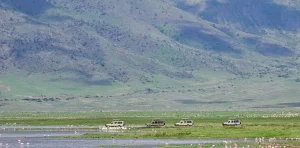 Where to Go in Tanzania to Experience the Best Tanzania Safari Tours?