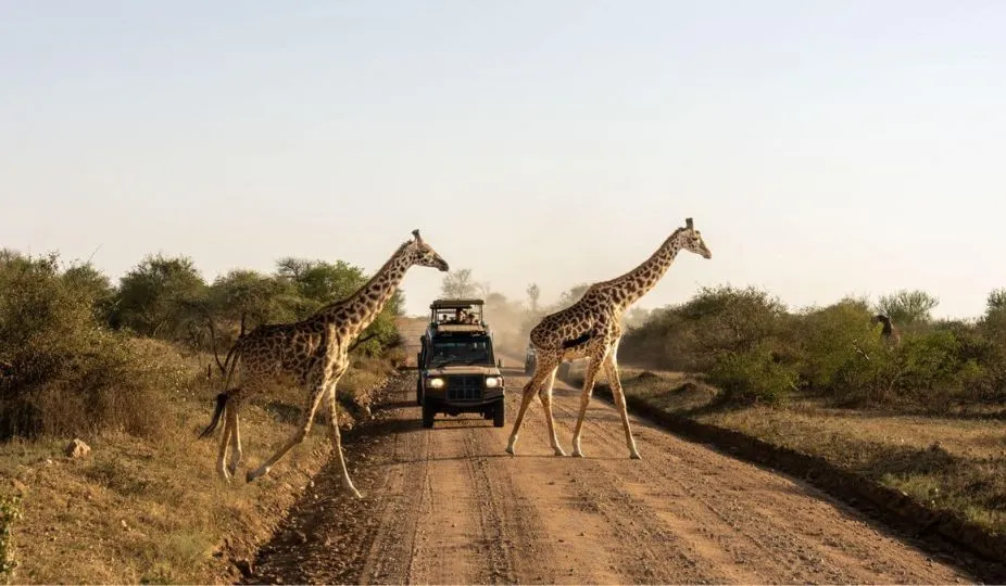 Serengeti National Park