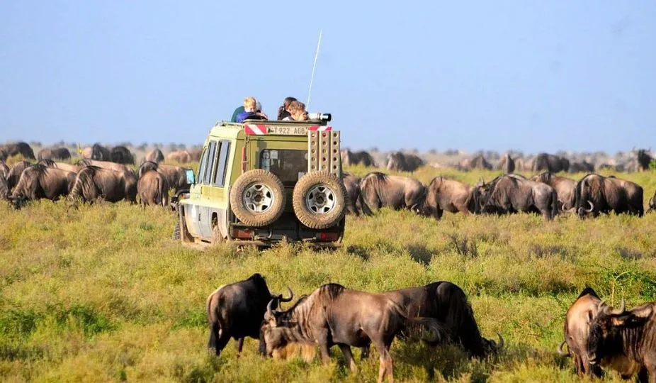 Tanzania Game Drive Safari