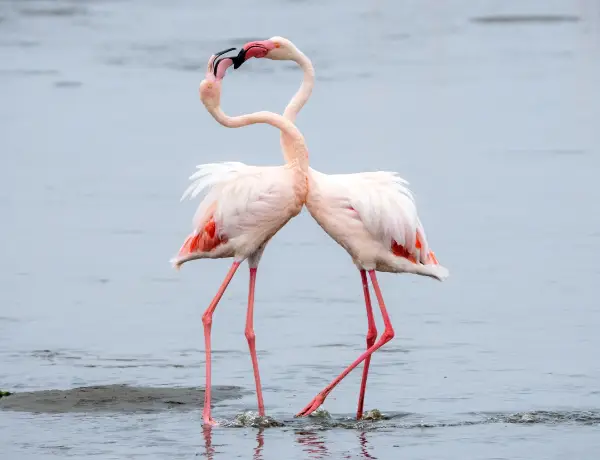Lake Manyara National Park